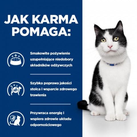 HILL"S Prescription Diet Digestive Care i/d Feline z łososiem - mokra karma dla kota - 12x85 g z rabatem - 4% - Galeria zdjęcie 5