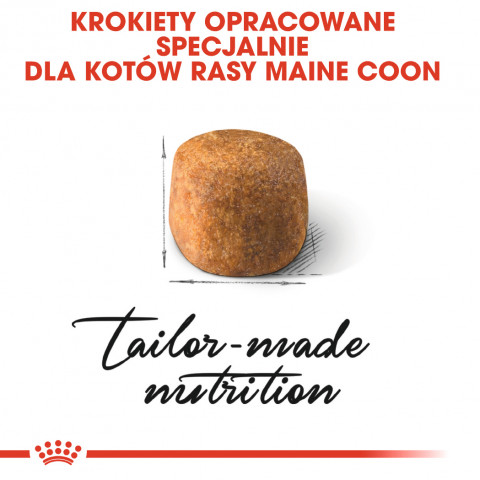 Royal Canin FBN Maine Coon Adult - sucha karma dla kota dorosłego - 4 kg - Galeria zdjęcie 8