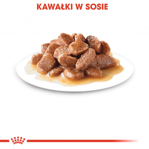 ROYAL CANIN FHN Instinctive w sosie - mokra karma dorosłych kotów - 12x 85 g - Galeria zdjęcie 7