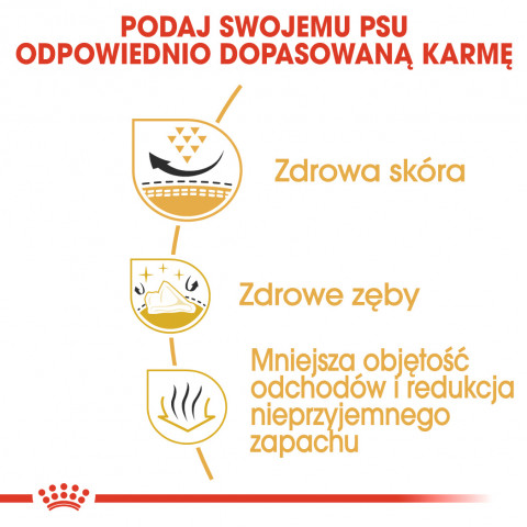 ROYAL CANIN BHN Shih Tzu Adult - sucha karma dla psa dorosłego - 1,5 kg - Galeria zdjęcie 7