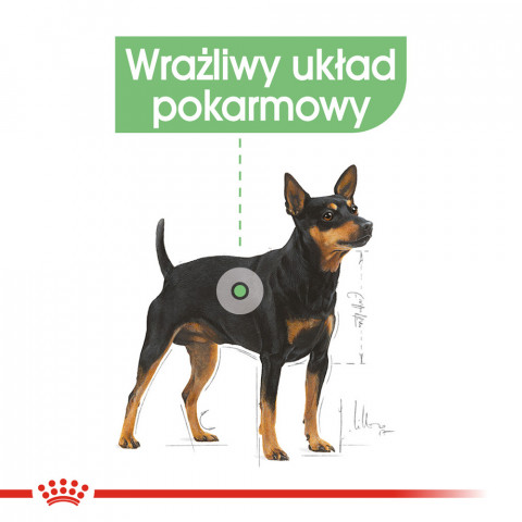 ROYAL CANIN CCN MINI DIGESTIVETIVE CARE - sucha karma dla psa dorosłego - 3 kg - Galeria zdjęcie 3