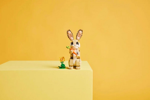 LEGO CREATOR 3w1 31162 Uroczy króliczek - Galeria zdjęcie 11