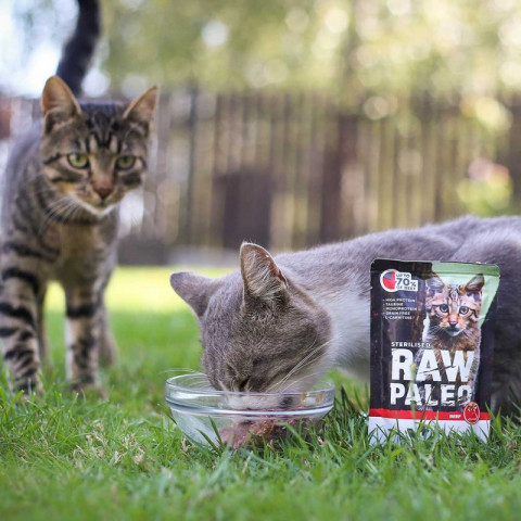 VET EXPERT Raw Paleo Adult Cat Sterilised Wołowina - mokra karma dla kota - 100 g - Galeria zdjęcie 2