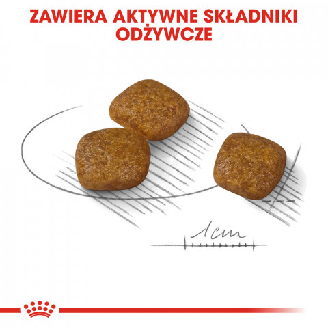 ROYAL CANIN Mini Urinary Care CCN - sucha karma dla psa - 1 kg - Galeria zdjęcie 8
