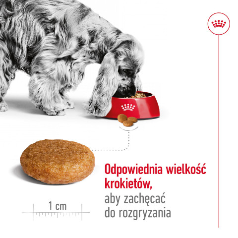ROYAL CANIN SHN Medium Adult - sucha karma dla psa - 15 kg - Galeria zdjęcie 14