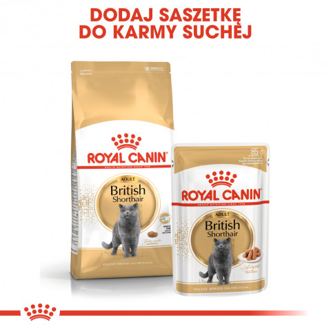 ROYAL CANIN FBN British Shorthair Adult - sucha karma dla dorosłego kota - 2 kg - Galeria zdjęcie 6