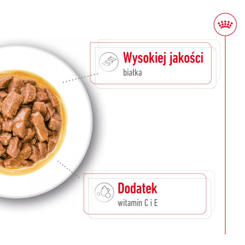 ROYAL CANIN SHN Medium Adult w sosie - mokra karma dla psa dorosłego - 10x140 g - Galeria zdjęcie 6