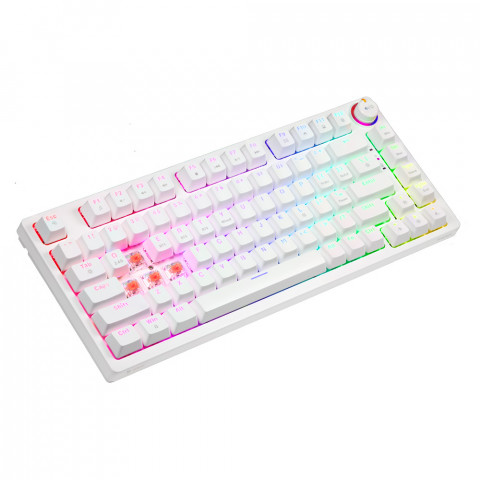 SAVIO KLAWIATURA MECHANICZNA PHENIX WHITE RED ABS - Galeria zdjęcie 7