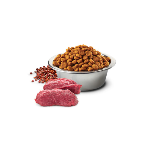 FARMINA N&D Quinoa Dog Skin&Coat Venison&Coconut Adult Medium&Maxi - sucha karma dla psa - 7 kg - Galeria zdjęcie 3