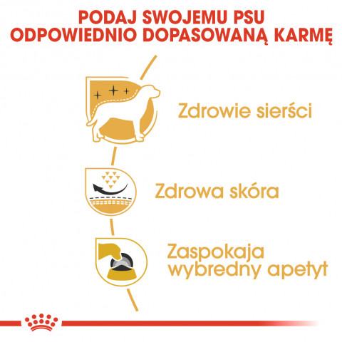 ROYAL CANIN BHN West Highland White Terrier Adult - sucha karma dla psa dorosłego - 3kg - Galeria zdjęcie 6