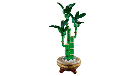LEGO ICONS 10344 Botanicals - Dracena sandera - Galeria zdjęcie 5