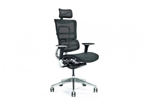 Ergonomiczny fotel biurowy ERGO 800-M czarny - Galeria zdjęcie 1