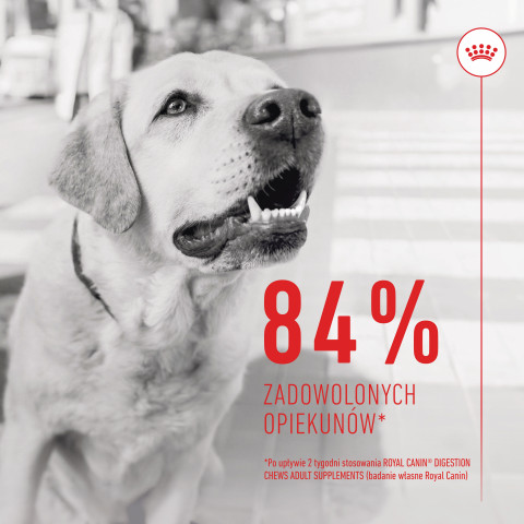 ROYAL CANIN Supplements Dog Digestion Adult - suplementy dla psa - 160g - Galeria zdjęcie 9