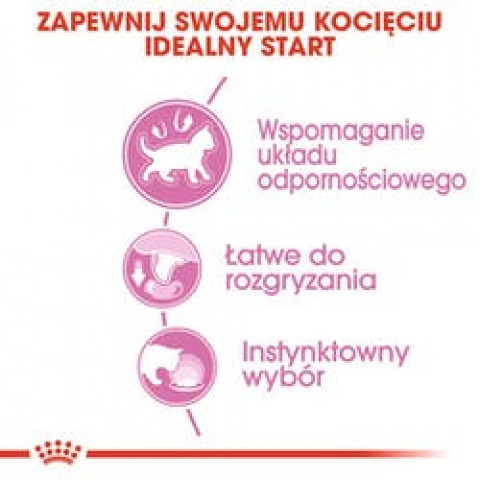 ROYAL CANIN FHN Kitten Instinctive in Jelly - mokra karma dla kociąt - 12x85 g - Galeria zdjęcie 10