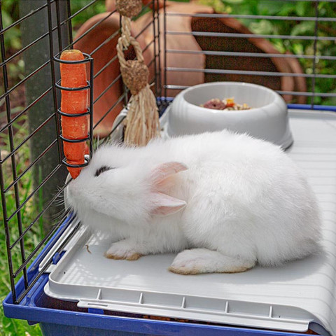 FERPLAST Rabbit 120 - klatka dla królika - Galeria zdjęcie 7