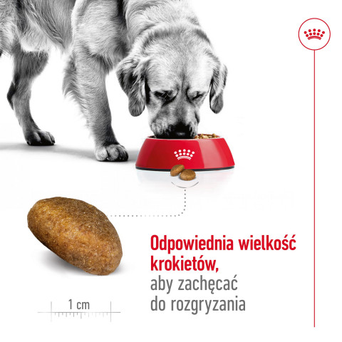 ROYAL CANIN SHN Maxi Adult - sucha karma dla psa dorosłego - 15 kg - Galeria zdjęcie 6