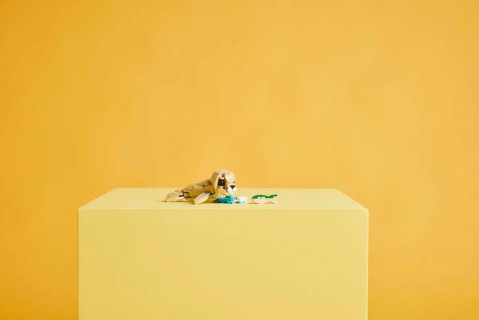 LEGO CREATOR 3w1 31162 Uroczy króliczek - Galeria zdjęcie 13