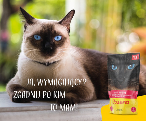 JOSERA Filet kurczak z wołowiną - mokra karma dla kota - 70 g - Galeria zdjęcie 6