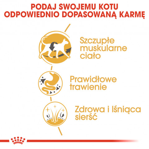 ROYAL CANIN FBN Siamese Adult - sucha karma dla dorosłego kota - 2kg - Galeria zdjęcie 5