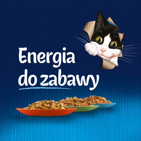 PURINA Felix Sensation: wiejskie smaki - karma dla kota - 120x85 g - Galeria zdjęcie 7