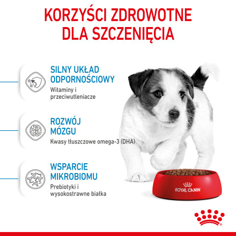 ROYAL CANIN Puppy Mini SHN - sucha karma dla szczeniąt - 2 kg - Galeria zdjęcie 4