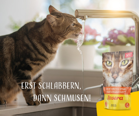 JOSERA Zupa kurczak z marchwią i szpinakiem - mokra karma dla kota - 70 g - Galeria zdjęcie 5