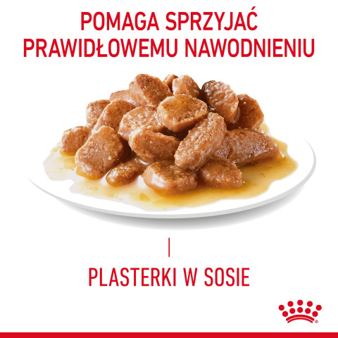 ROYAL CANIN FCN Urinary Care w sosie - mokra karma dla kota dorosłego - 12x85g - Galeria zdjęcie 13