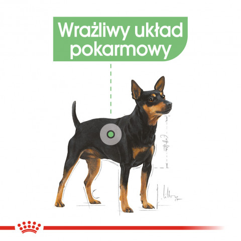 ROYAL CANIN CCN DIGESTIVE CARE LOAF - mokra karma dla psa dorosłego - 12x85 g - Galeria zdjęcie 4