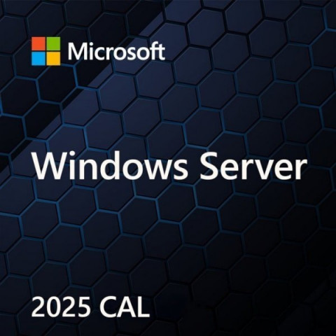 Microsoft Windows Svr CAL 2025 PL 5Clt User CAL OEM - Galeria zdjęcie 1