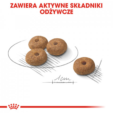 ROYAL CANIN CCN MINI STERILISED - sucha karma dla psa dorosłego - 8kg - Galeria zdjęcie 3