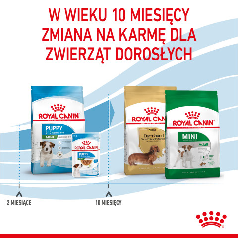 Royal Canin Puppy Mini SHN - sucha karma dla szczeniąt - 4 kg - Galeria zdjęcie 9