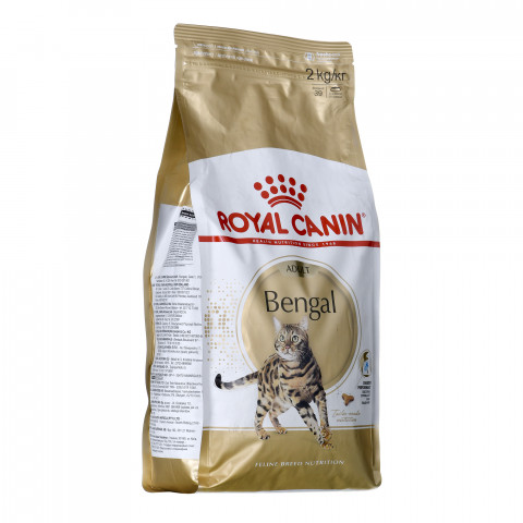 ROYAL CANIN Bengal Adult - sucha karma dla dorosłego kota - 2 kg - Galeria zdjęcie 2