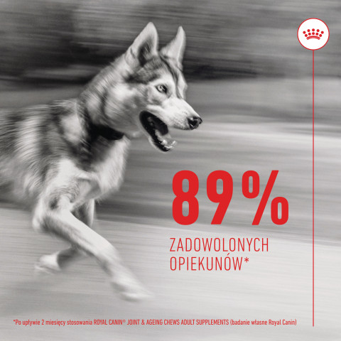 ROYAL CANIN Supplements Dog Joint & Ageing Adult - suplementy dla psa - 240g - Galeria zdjęcie 6