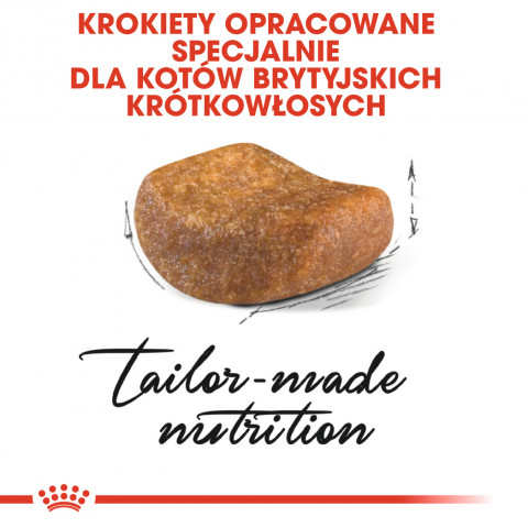 ROYAL CANIN FBN British Shorthair Adult - sucha karma dla dorosłego kota - 2 kg - Galeria zdjęcie 4
