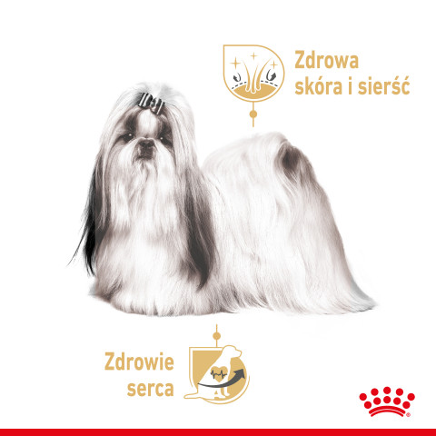 ROYAL CANIN BHN Shih Tzu Adult w formie pasztetu - mokra karma dla psa dorosłego - 12x85 g - Galeria zdjęcie 3