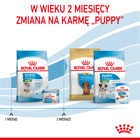 ROYAL CANIN Starter Mini Mother & Babydog - sucha karma dla szczeniąt i suk w ciąży oraz okresie laktacji - 1 kg - Galeria zdjęcie 7