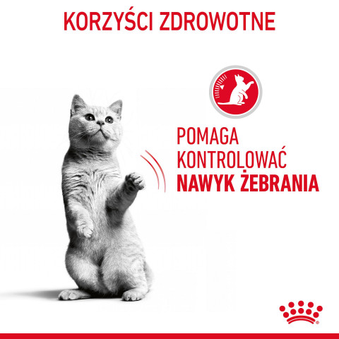 ROYAL CANIN FCN Appetite Control w sosie - mokra karma dla kota dorosłego - 12x85g - Galeria zdjęcie 6