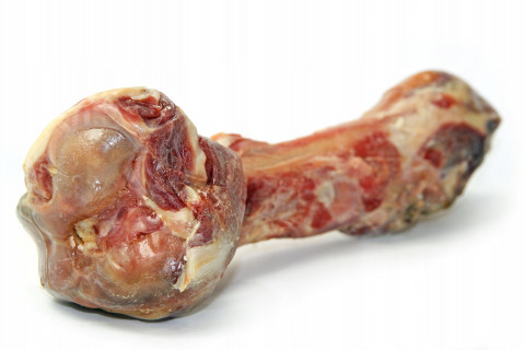 AMBROSIA Jagnięcina i Świeży Łosoś - sucha karma dla psa - 12kg + GRATIS! - Galeria zdjęcie 6