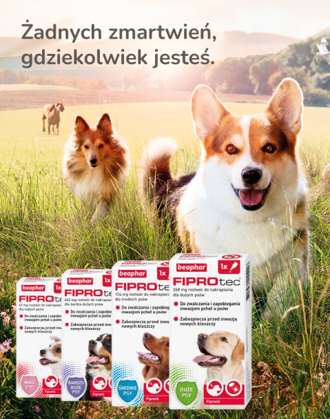 BEAPHAR FIPROtec Krople przeciw pchłom i kleszczom dla psa XL - 1x268 mg - Galeria zdjęcie 9