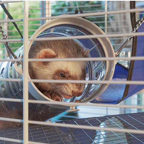 FERPLAST Furet Tower - klatka dla fretek - Galeria zdjęcie 5
