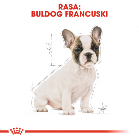 ROYAL CANIN BHN French Bulldog Puppy - sucha karma dla szczeniąt - 3 kg - Galeria zdjęcie 3