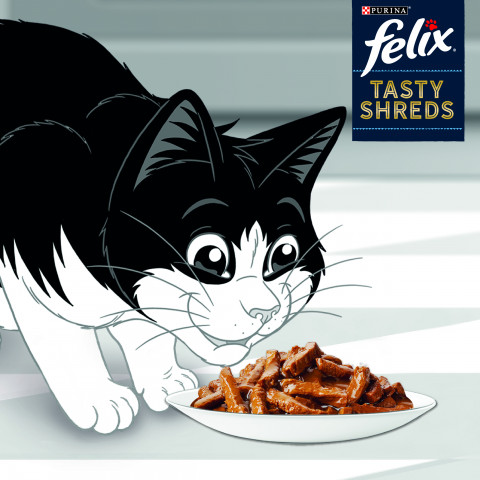 FELIX Tasty Shreds z łososiem i tuńczykiem - mokra karma dla kota - 4x 80g - Galeria zdjęcie 4