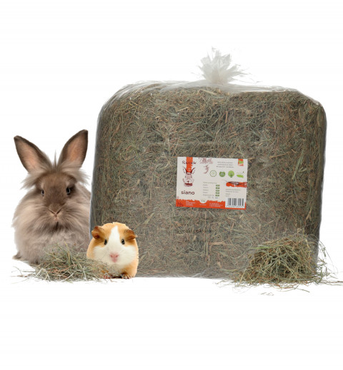 RECEK Siano Łąkowe 4kg + GRATIS! - Galeria zdjęcie 3