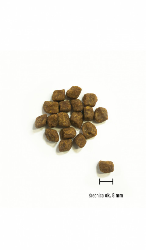 ORIJEN Small Breed Puppy - sucha karma dla psa - 1,8kg - Galeria zdjęcie 3