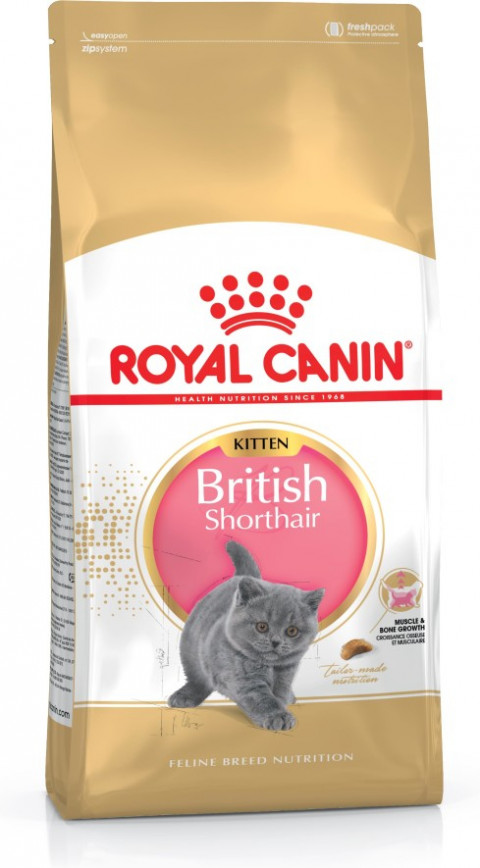 Royal Canin FBN British Shorthair Kitten - sucha karma dla kociąt - 2 kg - Galeria zdjęcie 2