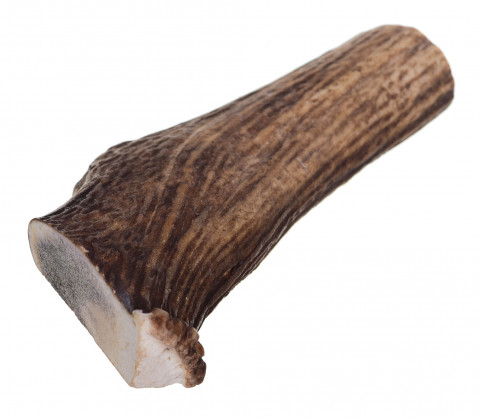 DLZ4DOKSP0013_2.jpg