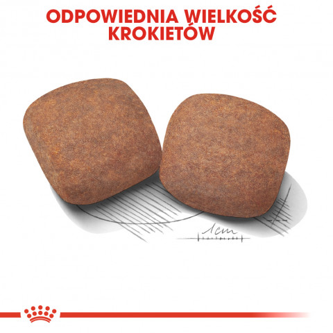 ROYAL CANIN SHN Giant Adult - sucha karma dla psa dorosłego - 15 kg - Galeria zdjęcie 8