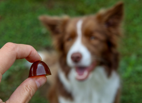 GELOREN Small dog Stawy - żelki dla psa - 180g - Galeria zdjęcie 4