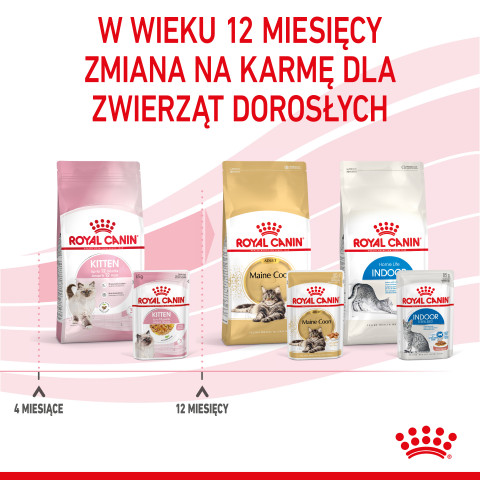 Royal Canin FHN Kitten Instinctive w galaretce - mokra karma dla kociąt - 12x85 g - Galeria zdjęcie 6