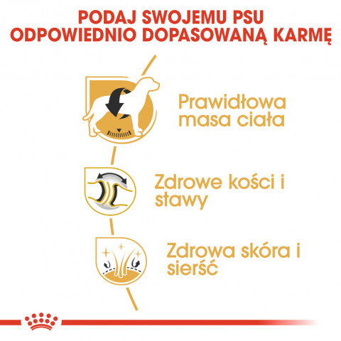 ROYAL CANIN BHN Labrador Retriever Adult - sucha karma dla psa dorosłego - 12 kg - Galeria zdjęcie 5